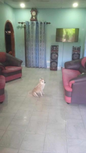House for rent